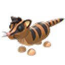 Banded Palm Civet