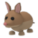 Bandicoot