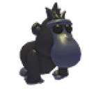 Black Macaque