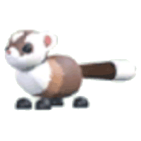 BlackFooted Ferret