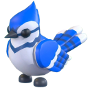 Blue Jay