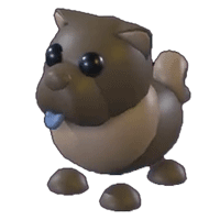 Chocolate ChowChow