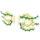 Clam Wings