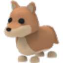 Dingo