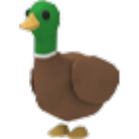 Drake