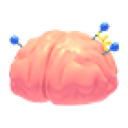 Exposed Brain