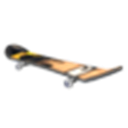 Fissy Skateboard