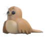 Galapagos Sea Lion