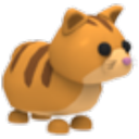 Ginger Cat