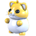 Golden Hamster