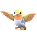 Golden Hummingbird