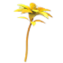 Golden Petunia