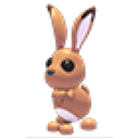 Hare