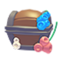 Hermit Crab Box