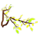 Leaf Wings