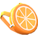 Orange Backpack