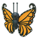 Orange Butterfly