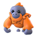 Orangutan