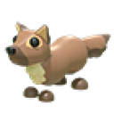 Pine Marten
