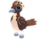 Roadrunner