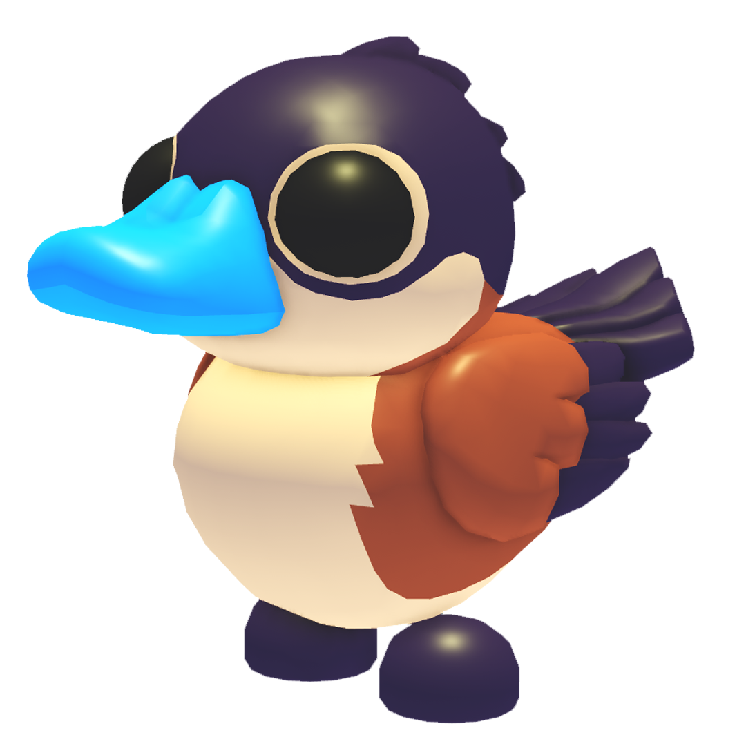 Ruddy Duck