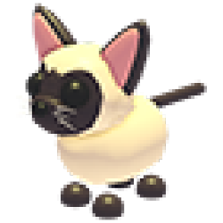 Siamese Cat