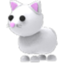 Snow Cat