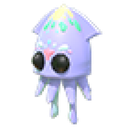 Squid