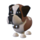 St Bernard