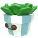 Succulent Plush