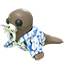 Summer Walrus