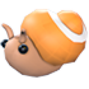 Trapdoor Snail
