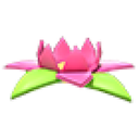 Tropical Flower