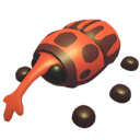 Weevil