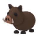 Wild Boar